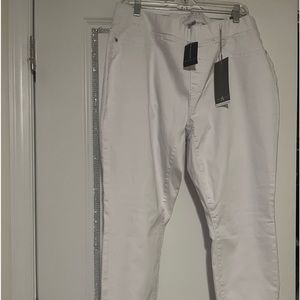 Ashley Stewart pants